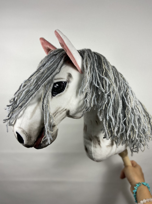 Hobby horse s příslušenstvím- rezervováno — foto 2