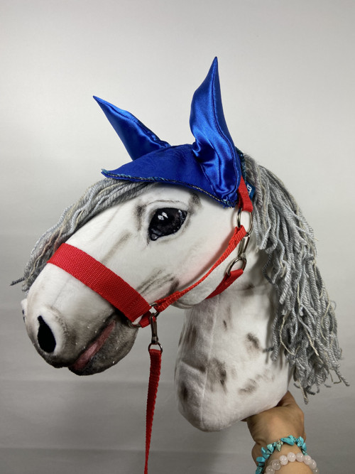Hobby horse s příslušenstvím- rezervováno — foto 3