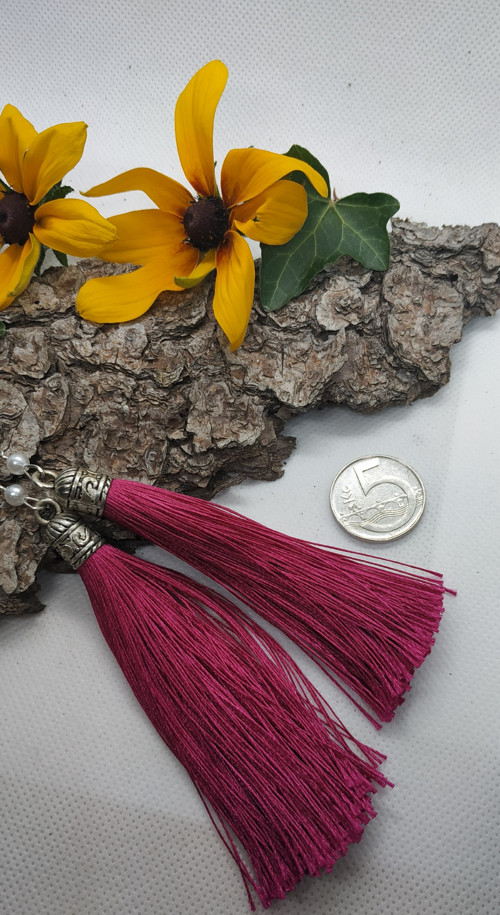 Střapec fuchsiovy — foto 3