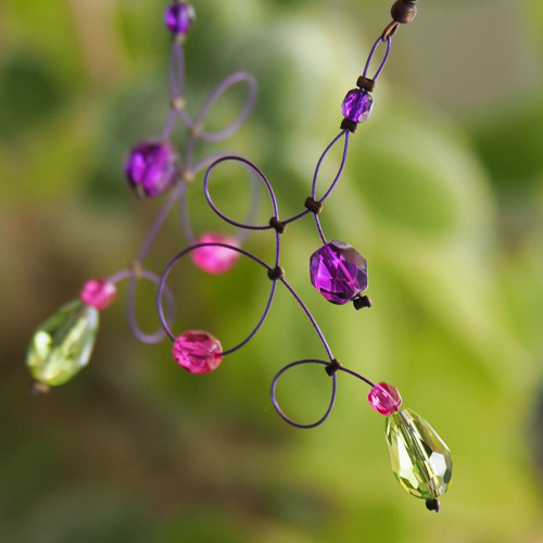 Zamotánky fuchsijové — foto 2