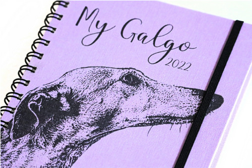 Diář 2027 - Galgo — foto 2