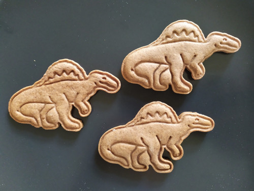 Spinosaurus - set — foto 5