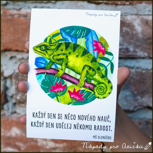 Kartička/pohled pro radost - chameleon — foto 2