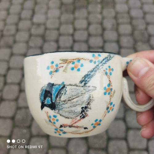 Modrásek — foto 2