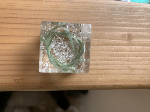 Na přání — foto 3