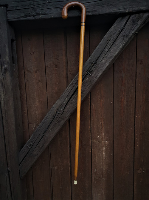 Nedělní procházka - špacírka — foto 2