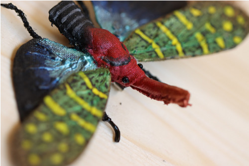 Pyrops pyrorhynchus brož — foto 4