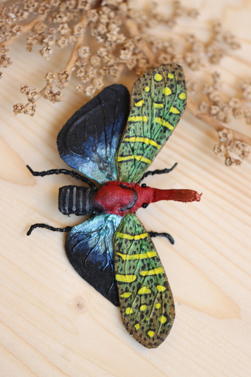 Pyrops pyrorhynchus brož — foto 3