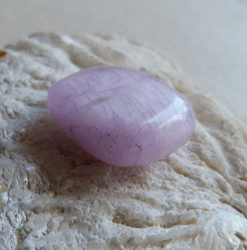 Kunzit - 2,6 cm - Extra — foto 6