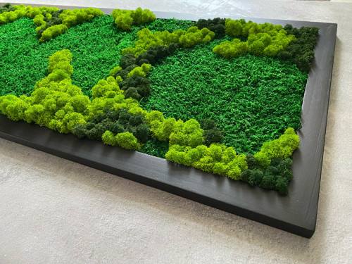Mechový obraz 95x40cm — foto 2