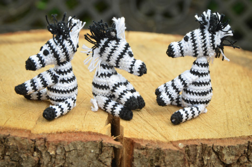 Zebra — foto 2