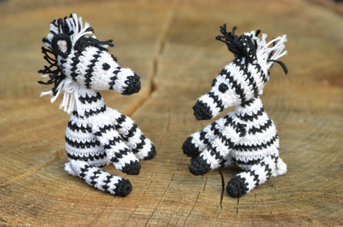 Zebra — foto 3