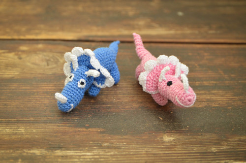 Triceratops — foto 3