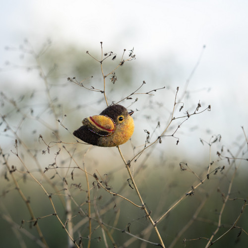 Brož Ptáček žlutohnědý — foto 4