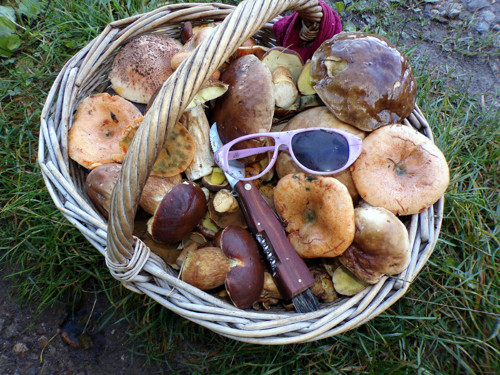 Klouzek kravský v octě, 260 gramů — foto 4