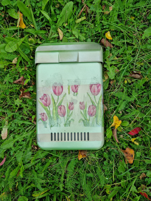 Dopisní schránka s tulipany — foto 2