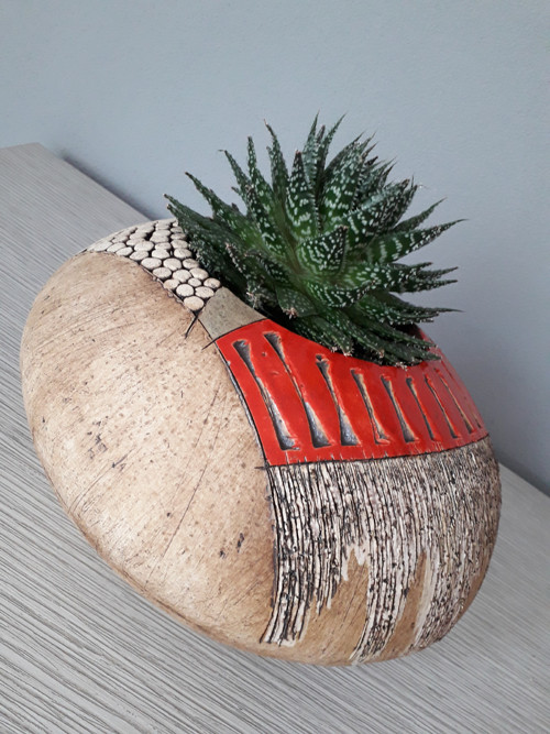 Na sukulenty V — foto 2