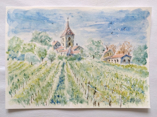 Vinice — foto 2