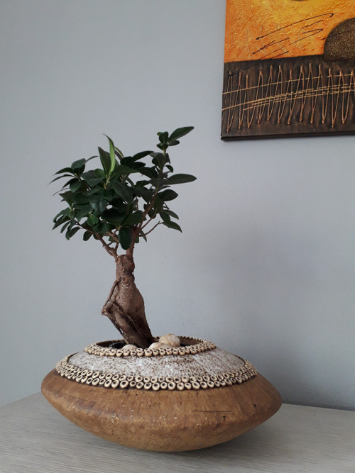 "ČOČKA" I — foto 4