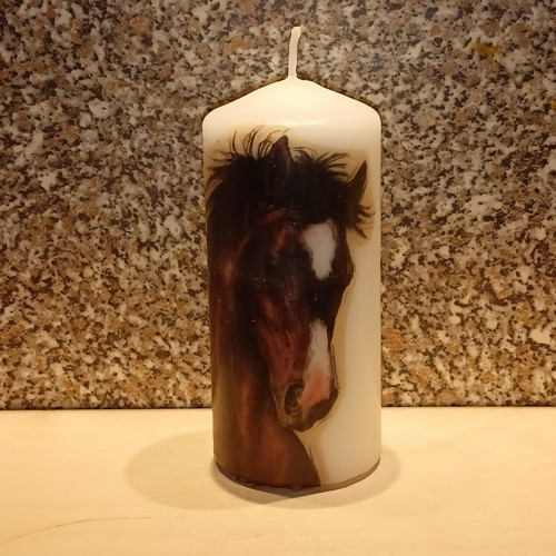 Kůň — foto 2