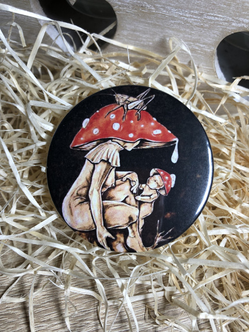 Zrcátko… “Muchomůrka červená” — foto 5