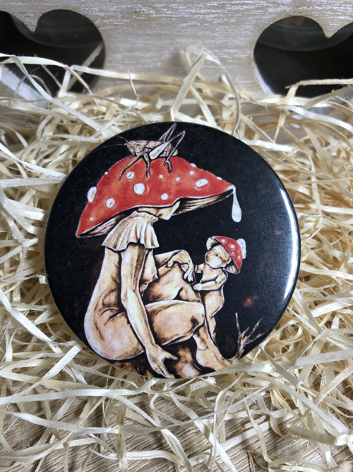 Zrcátko… “Muchomůrka červená” — foto 2
