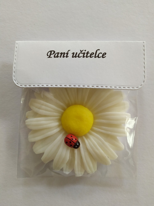 Pro paní učitelku... — foto 3