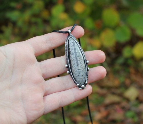 Rhys ~ Šperk s orthocerasem — foto 4