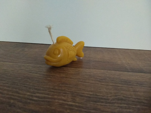 Svíčka ryba — foto 2
