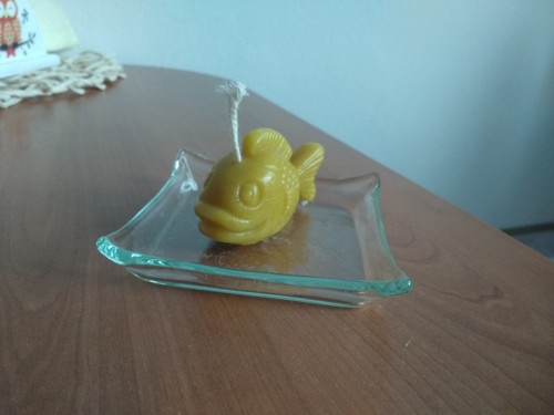 Svíčka ryba — foto 3