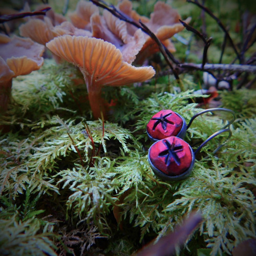 Jeřabiny... — foto 3