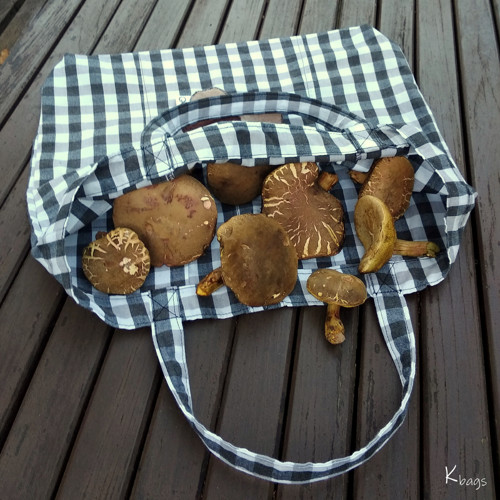 Kozaris káro — foto 3