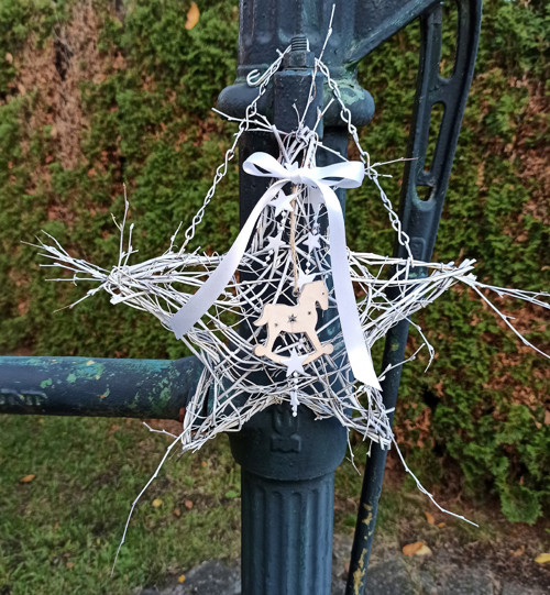 Vánoční hvězda — foto 4