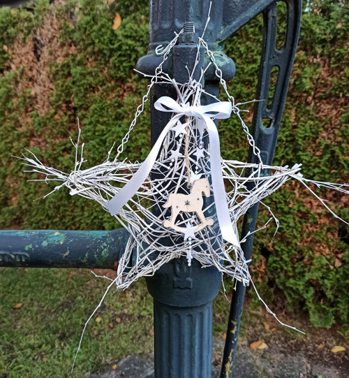 Vánoční hvězda — foto 3