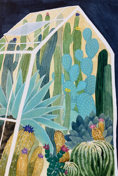 Originál ilustrácia Kaktusy — foto 2