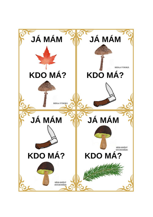 Já mám, kdo má? Houbaření — foto 2