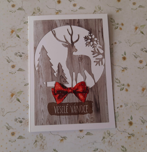 Vánoční přání Les — foto 3