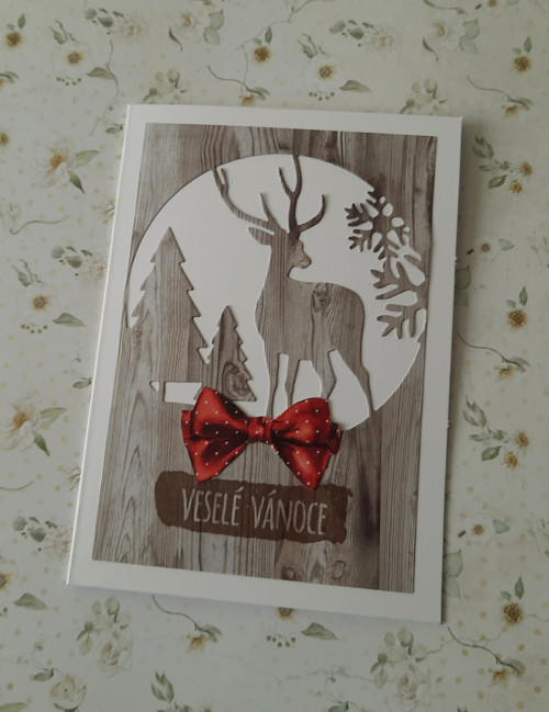 Vánoční přání Les — foto 2