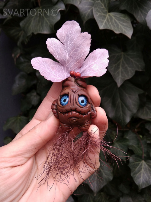 Mandragora — foto 6