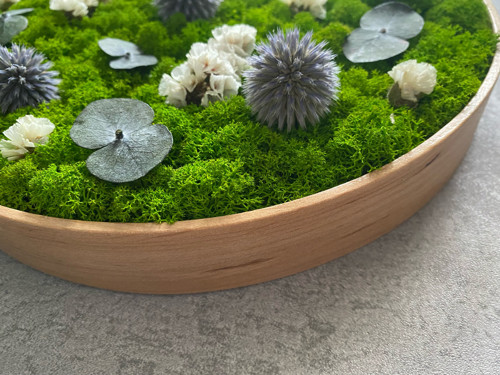 Mechový obraz pr. 25cm - přírodní rám — foto 5