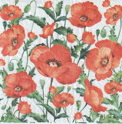 Ubrousek - vlčí máky — foto 2
