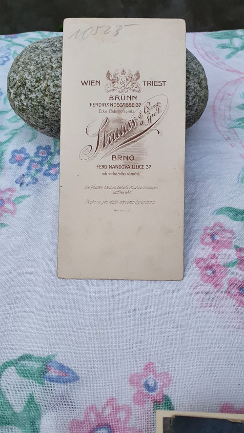 Vojáček - kabinetka — foto 2
