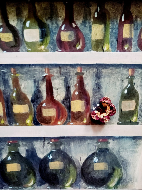 Okáč — foto 6