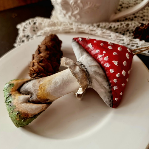 Muchomůrka houba — foto 2