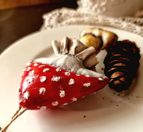 Muchomůrka houba — foto 5