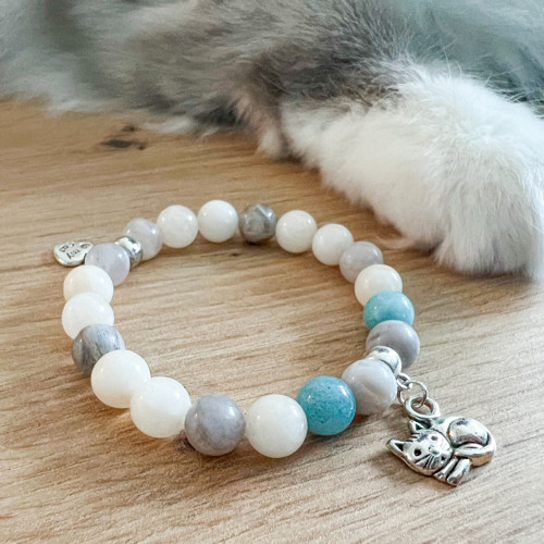 I love my kitty cat – ragdoll — foto 2