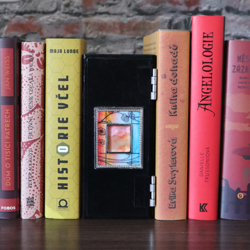 Historická bibliotéka — foto 2