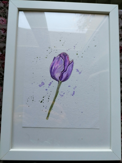 Tulipán - akvarel — foto 2