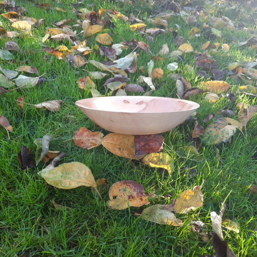 Jabloňová miska JB 10 — foto 6