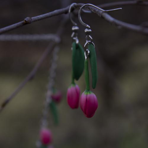 Sada - tulipány — foto 6